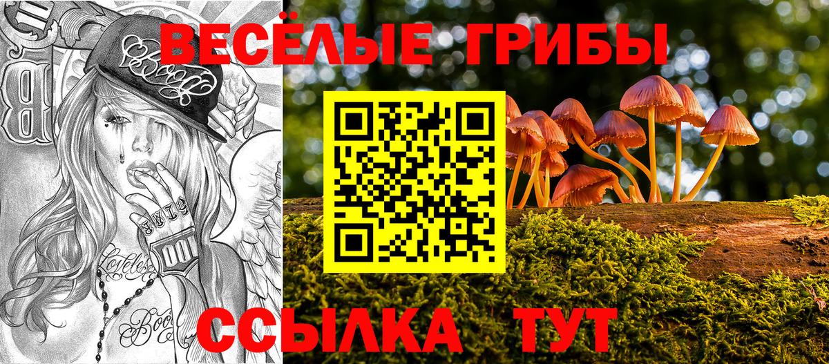 Псилоцибиновые грибы Psilocybine cubensis  Вход с VPN  Бугуруслан  Галлюциногенные грибы Cubensis 
